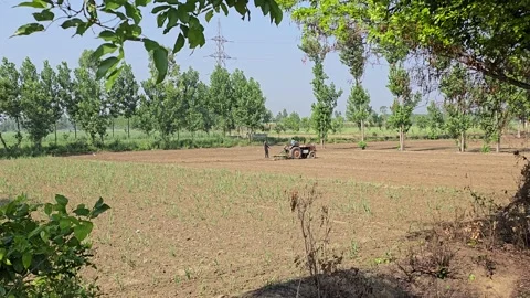 Tractor Working in Dusty Fields of India Stock Footage 313571367