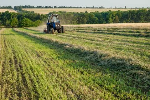 Tractor working on the farm field Stock Photos