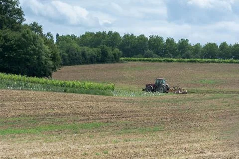 Tractor working on the farm Stock Photos