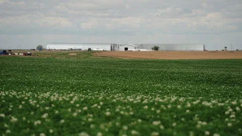 Tractor Working on a Farmland Stock Footage 319467520