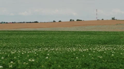 Tractor Working on a Farmland Stock Footage 319467772