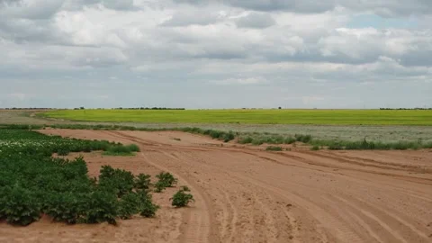 Tractor Working on a Farmland Stock Footage 319467850