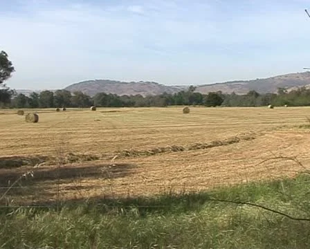 Tractor working in a field, Australia Stock-Footage 21552787