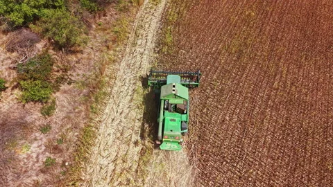 Tractor working on a field during daytime in a rural area with a mix of crops Stock Footage 345430893