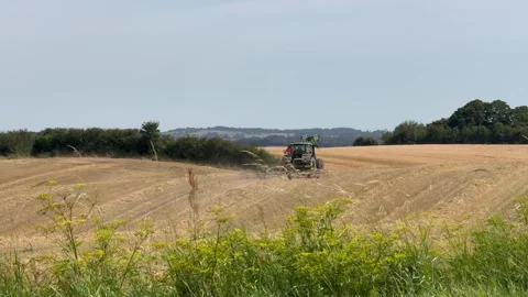 Tractor working in a field during sunset, Farmer on tractor harvesting organic p Stock Footage 282029768