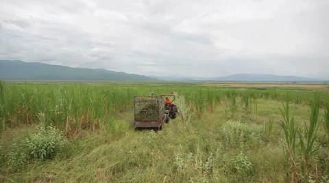 Tractor Working In The Field Stock Footage 41488681