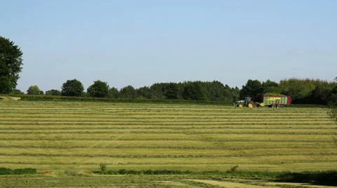 Tractor working in the field. 動画素材 50763113