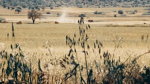 Tractor working at the field Stock Footage 78968054