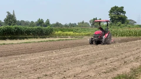 Tractor working in the field Stock Footage 305148659