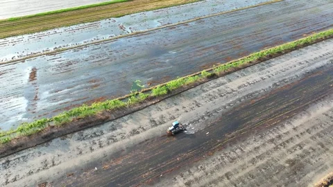 A tractor working the field. Stock Footage 306138452