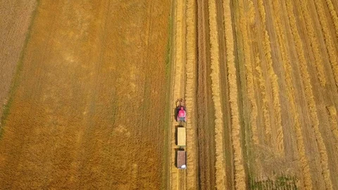 Tractor working on field at harvesting time.  Vídeos de archivo 113526117