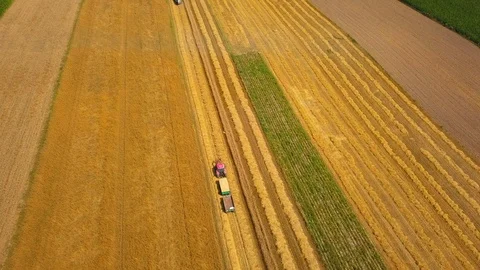 Tractor working on field at harvesting time.  Stock Footage 113540275