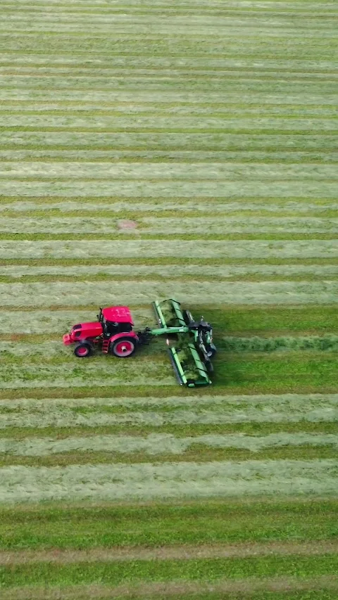 Tractor working in field. Preparing mown grass for harvesting with combine Video stock 314562678