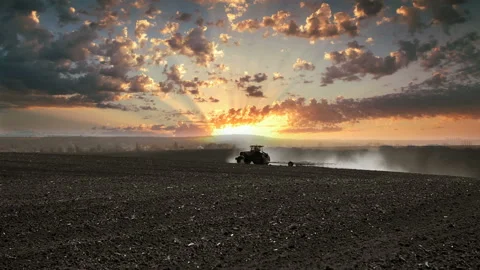 The tractor is working in the field at sunset of the day. Processing the field Stock Footage