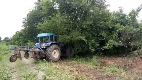 Tractor working in the field, Thailand Stock Footage 246579832