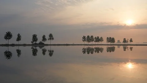 A tractor working in flooded rice fields at sunrise in Piedmont, Italy Видео 89050730
