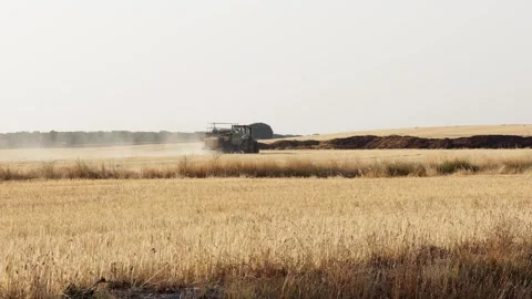 Tractor Working In Golden Wheat Field During Harvest On Rural Farm Landscape Stock Footage 346765075