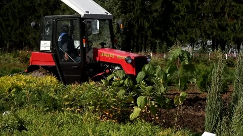 Tractor working in a nursery with plants for timber Video stock 46514665