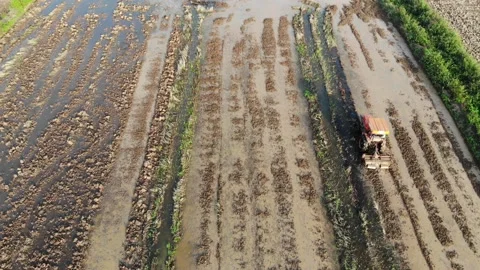 Tractor working onn soil rice plantation field agricultural industry Stock Footage 153287380
