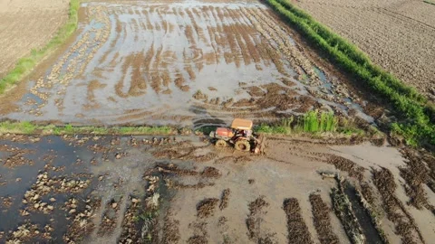 Tractor working onn soil rice plantation field agricultural industry Stock Footage 153289013