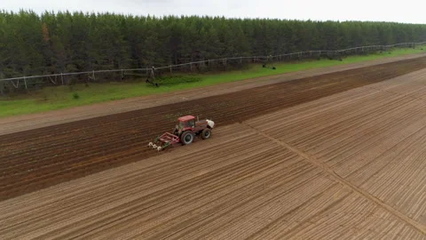 Tractor Working in Potato Field Video stock 146859930