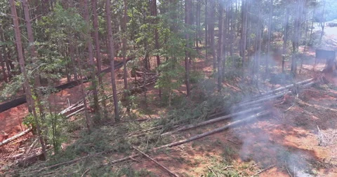 The tractor is working on the process of uprooting trees and deforestation to Stock Footage 201533024