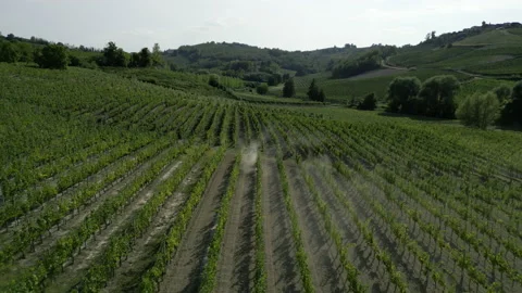 Tractor working in the vineyards Stock Footage 205193499