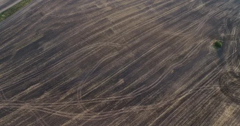 Tractor works on corn seed warehouse, large warehouse, agriculture, camera slow Stock Footage 124902229