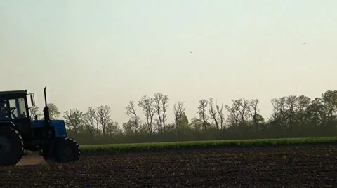 A tractor works on the field Stock Footage 37535840