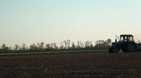 A tractor works on the field Stock Footage 37535847