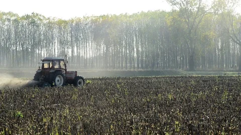 A tractor works the field with the light of the sunset Stock-Footage 83894500