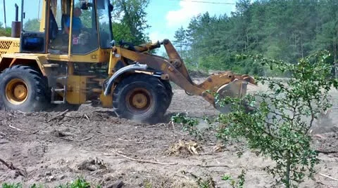 Tractor works in forest Video stock 11615626