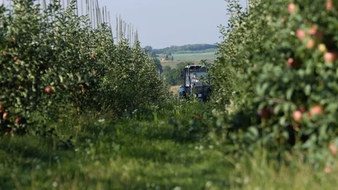 Tractor Works In The Garden. Video stock 104118609