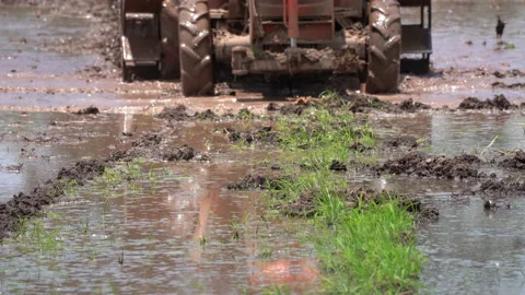 Tractor113 Stock Footage 158494340