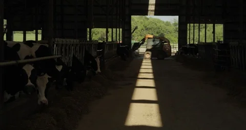 TractorInDairyStable Stock Footage 88838500
