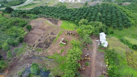 Tractors and excavators parked close to oil palm plantations Stock Footage 264147985