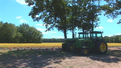 Tractors and Pumpkin Patch Stock Footage 40684794