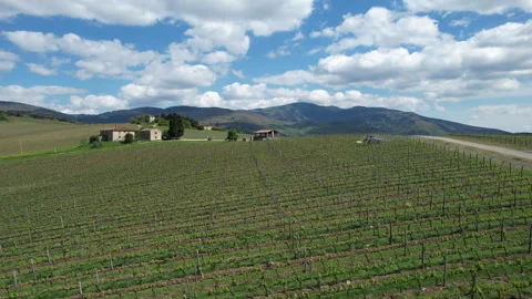 Tractors driving through a vineyard and spraying it. Stock-Footage 333303674