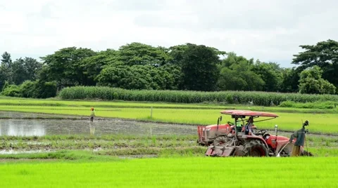Tractors preparing land for sowing Stock Footage 41155867
