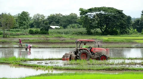 Tractors preparing land for sowing Stock Footage 41156543