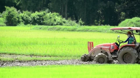 Tractors preparing land for sowing Stock Footage 41158898