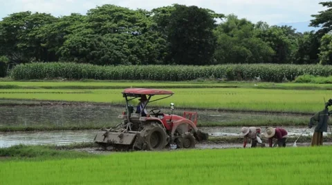 Tractors preparing land for sowing Stock Footage 41159894