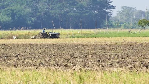 Tractors preparing land for sowing. Video stock 72327430