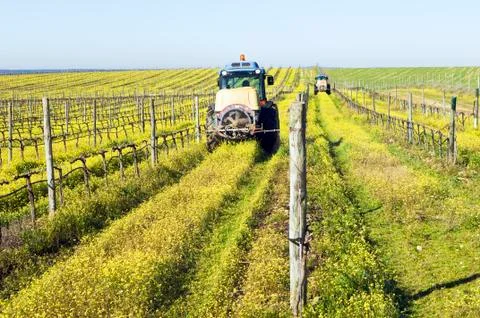 Tractors spraying the vineyard Stock Photos