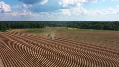 Tractors spudding potatoes in field, creating comb on potato field, aerial view Stock Footage 245213726
