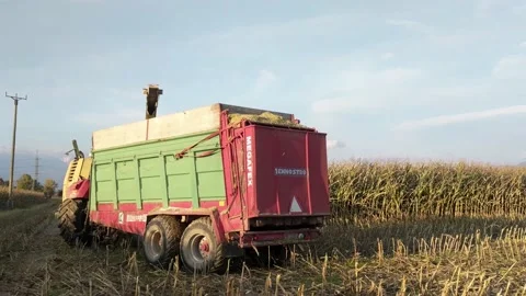 Tractors turning at the end of the field while harvesting the corn. Stock Footage 141613882