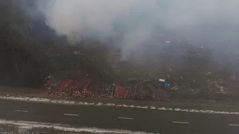 Tractors work in the forest area Stock Footage 149901334