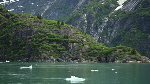 Tracy Arm Ford coastline Stock Footage 244081671