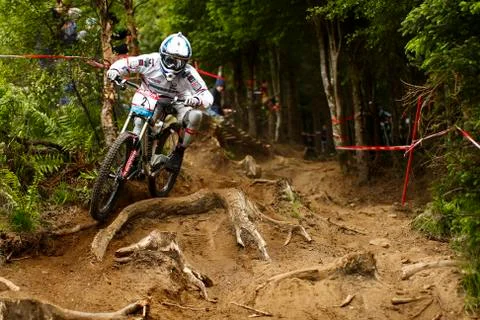 Tracy Moseley Foto stock
