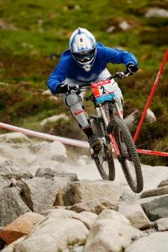 Tracy Moseley Stock Photos